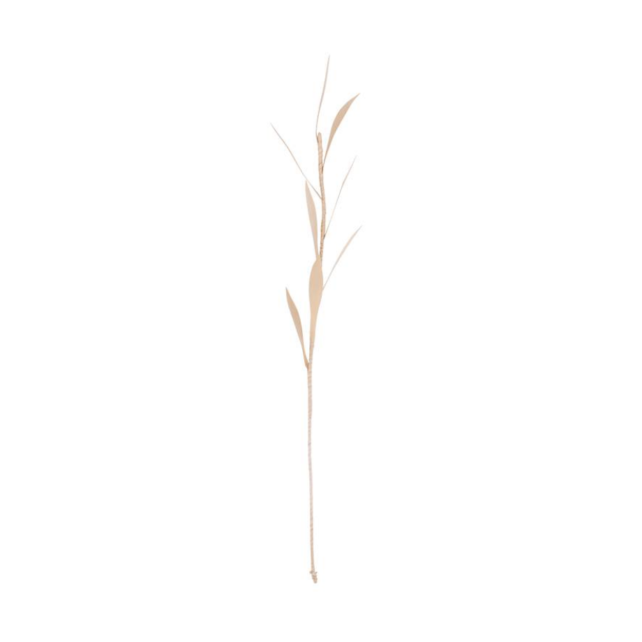 Decoratie Planta Olive | Urban Nature Culture afbeelding 1