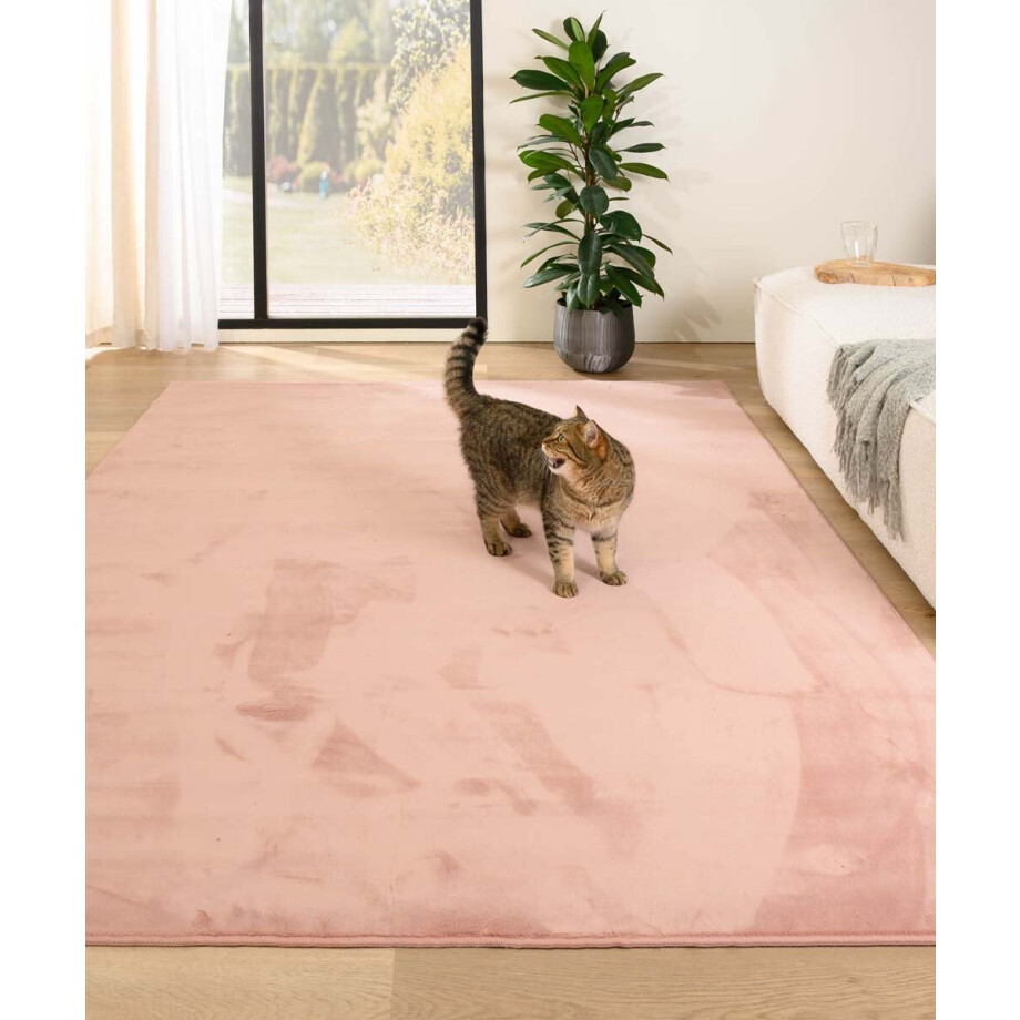 Zacht vloerkleed - Plush roze 160x230 cm Zacht vloerkleed - Plush roze 160x230 cm afbeelding 1