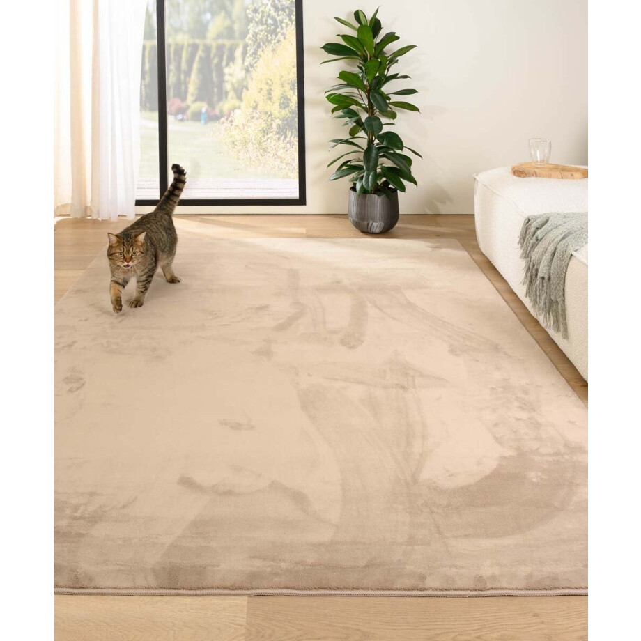 Zacht vloerkleed - Plush beige 200x290 cm afbeelding 1
