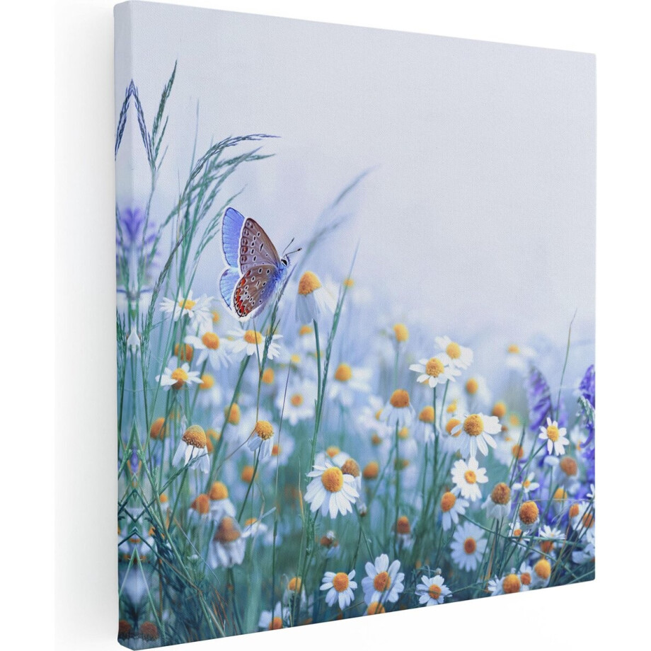 Artaza Canvas Schilderij Witte Kamille Bloemen Met Een Vlinder - 70x70 - Foto Op Canvas - Canvas Print Artaza Canvas Schilderij Witte Kamille Bloemen Met Een Vlinder - 70x70 - Foto Op Canvas - Canvas Print afbeelding 1