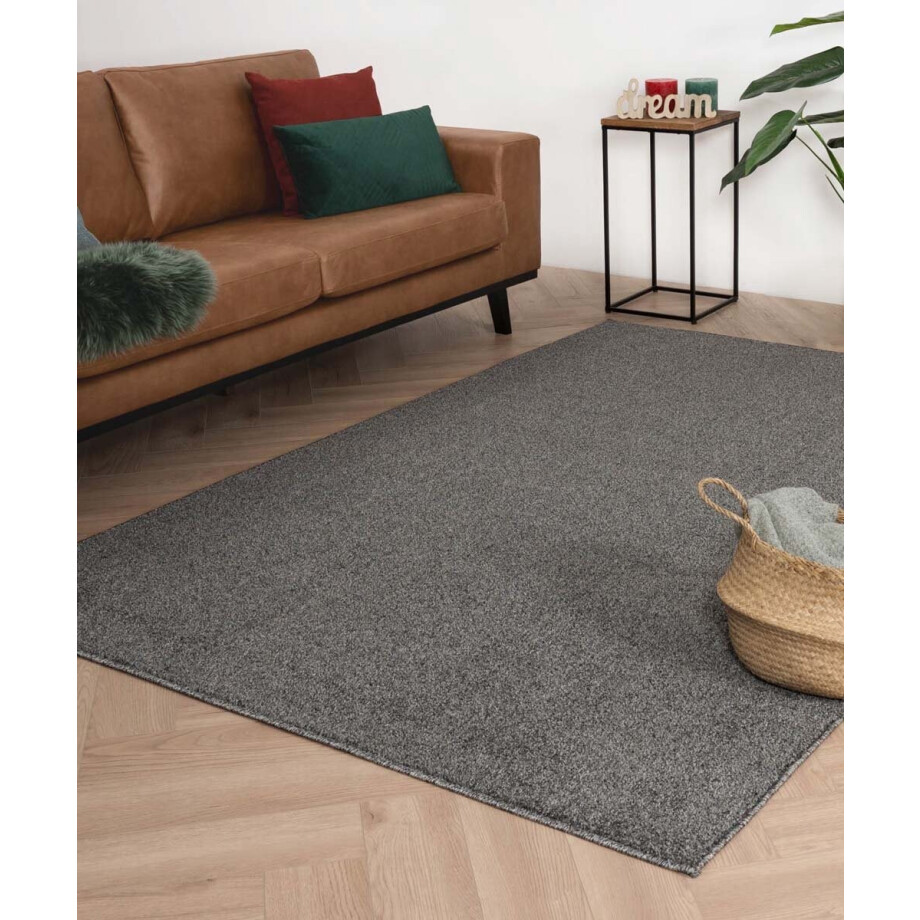Laagpolig vloerkleed - Fine grijs 60x110 afbeelding 1
