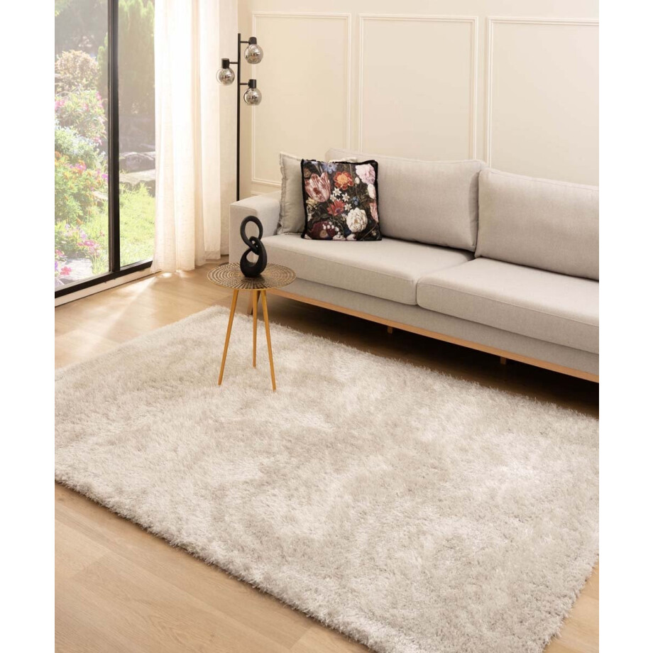 Hoogpolig vloerkleed velvet - Posh lichtzilver 200x300 cm Hoogpolig vloerkleed velvet - Posh lichtzilver 200x300 cm afbeelding 1