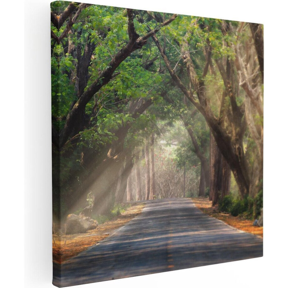 Artaza Canvas Schilderij Bomenlaan - 30x30 cm - Klein - Wanddecoratie Natuur - Muurdecoratie Bos - Kamer Accessoires Landschap Artaza Canvas Schilderij Bomenlaan - 30x30 cm - Klein - Wanddecoratie Natuur - Muurdecoratie Bos - Kamer Accessoires Landschap afbeelding 1