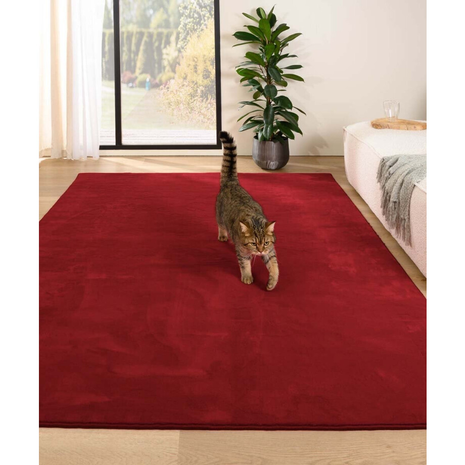 Zacht vloerkleed - Plush rood 160x230 cm Zacht vloerkleed - Plush rood 160x230 cm afbeelding 1