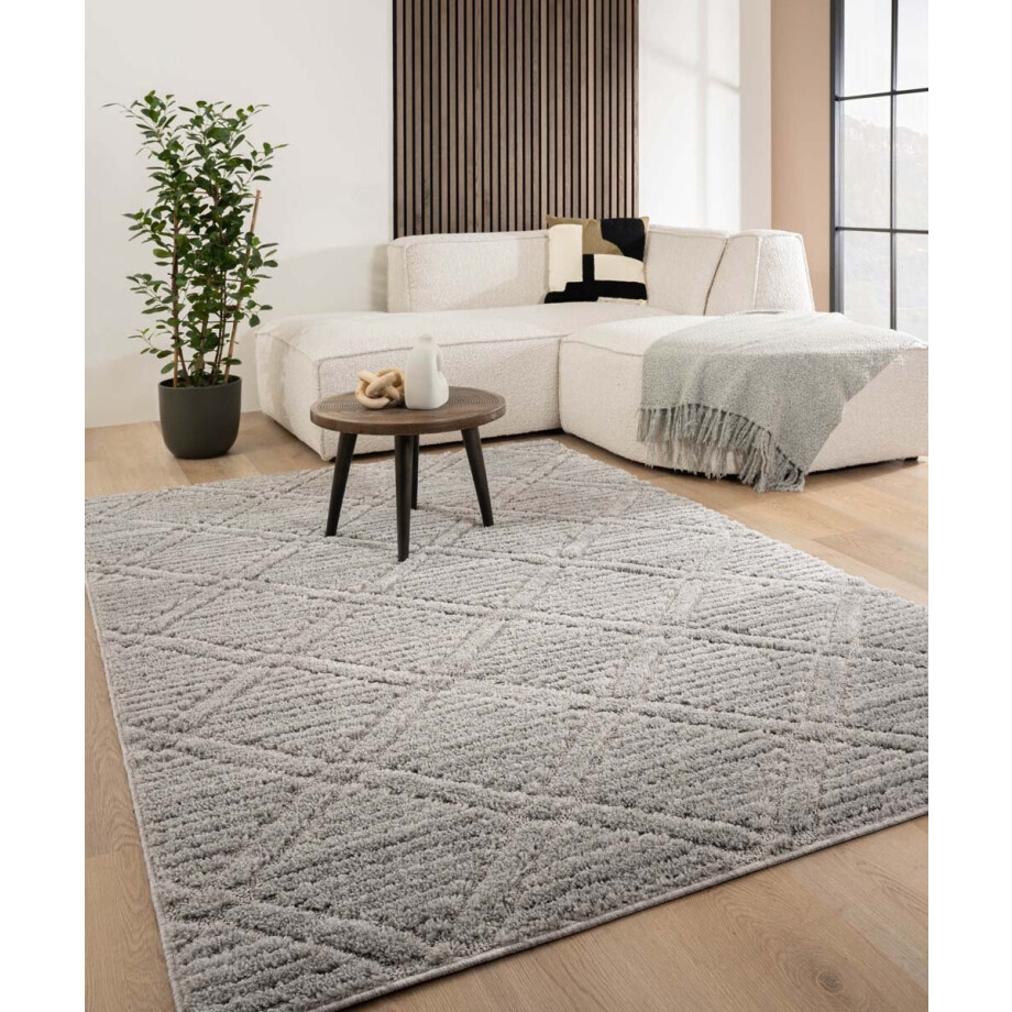 Scandinavisch vloerkleed - Arc Gem lichtgrijs 100x200 cm afbeelding 1