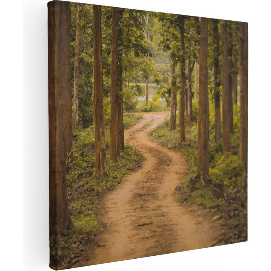 Artaza Canvas Schilderij Pad In Het Bos Met Bomen - 90x90 - Groot - Foto Op Canvas - Canvas Print Artaza Canvas Schilderij Pad In Het Bos Met Bomen - 90x90 - Groot - Foto Op Canvas - Canvas Print afbeelding 1