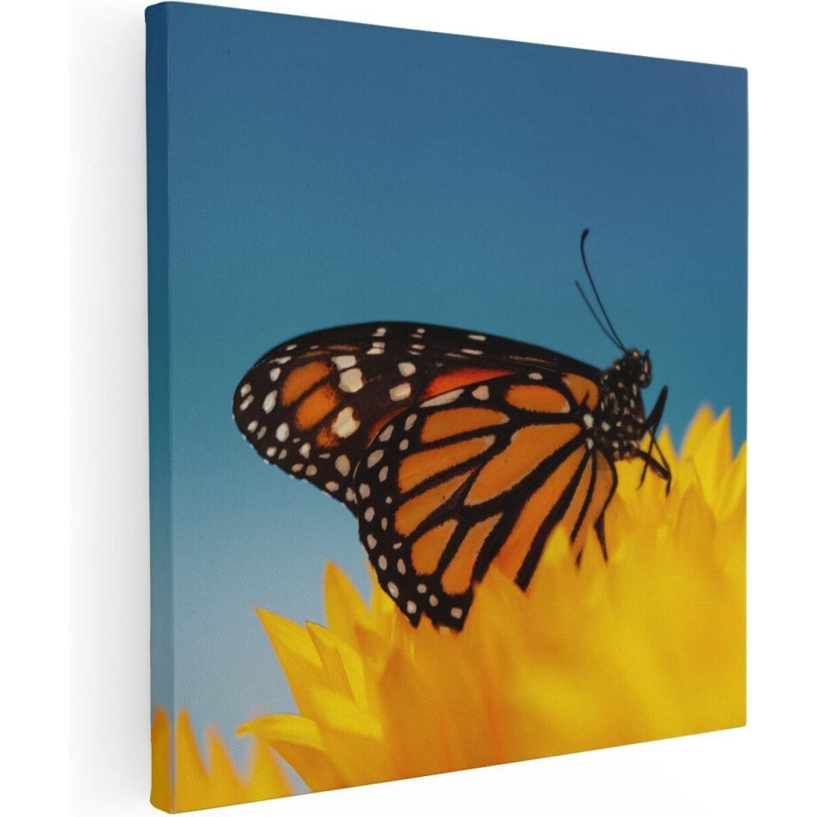 Artaza Canvas Schilderij Oranje Vlinder Bij Een Zonnebloem - 40x40 - Klein - Foto Op Canvas - Canvas Print afbeelding 1