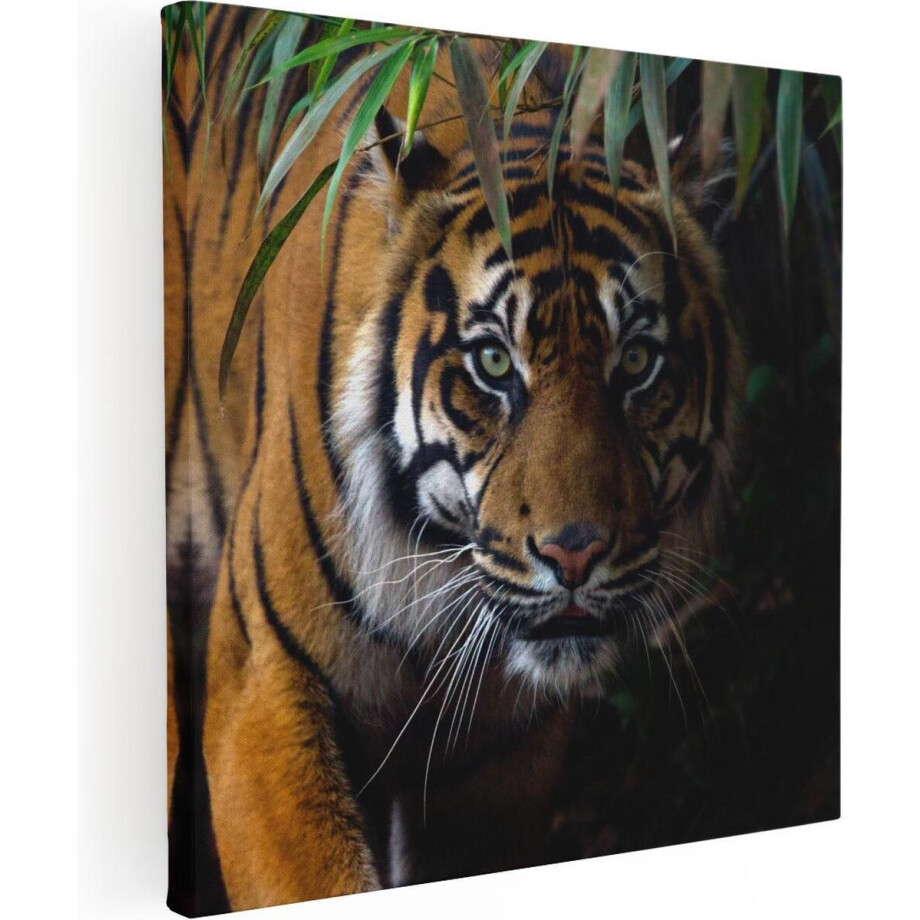 Artaza Canvas Schilderij Tijger In De Jungle - 90x90 - Groot - Foto Op Canvas - Canvas Print afbeelding 1