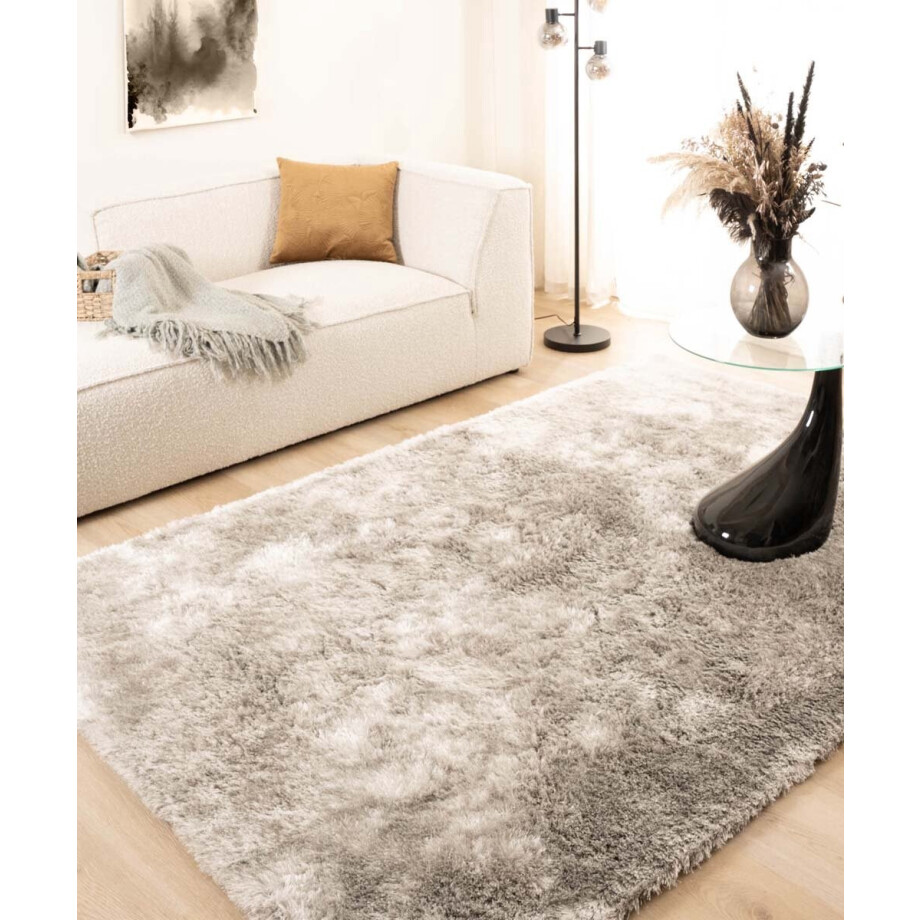 Shaggy vloerkleed - Spark zilver 200x300 cm Shaggy vloerkleed - Spark zilver 200x300 cm afbeelding 1