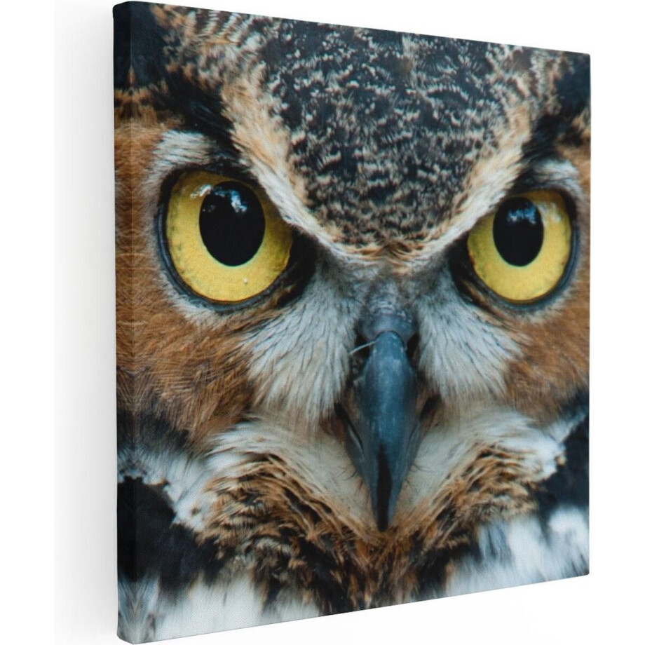 Artaza Canvas Schilderij Uil Kop Met Gouden Ogen  - 90x90 - Groot - Foto Op Canvas - Canvas Print afbeelding 1