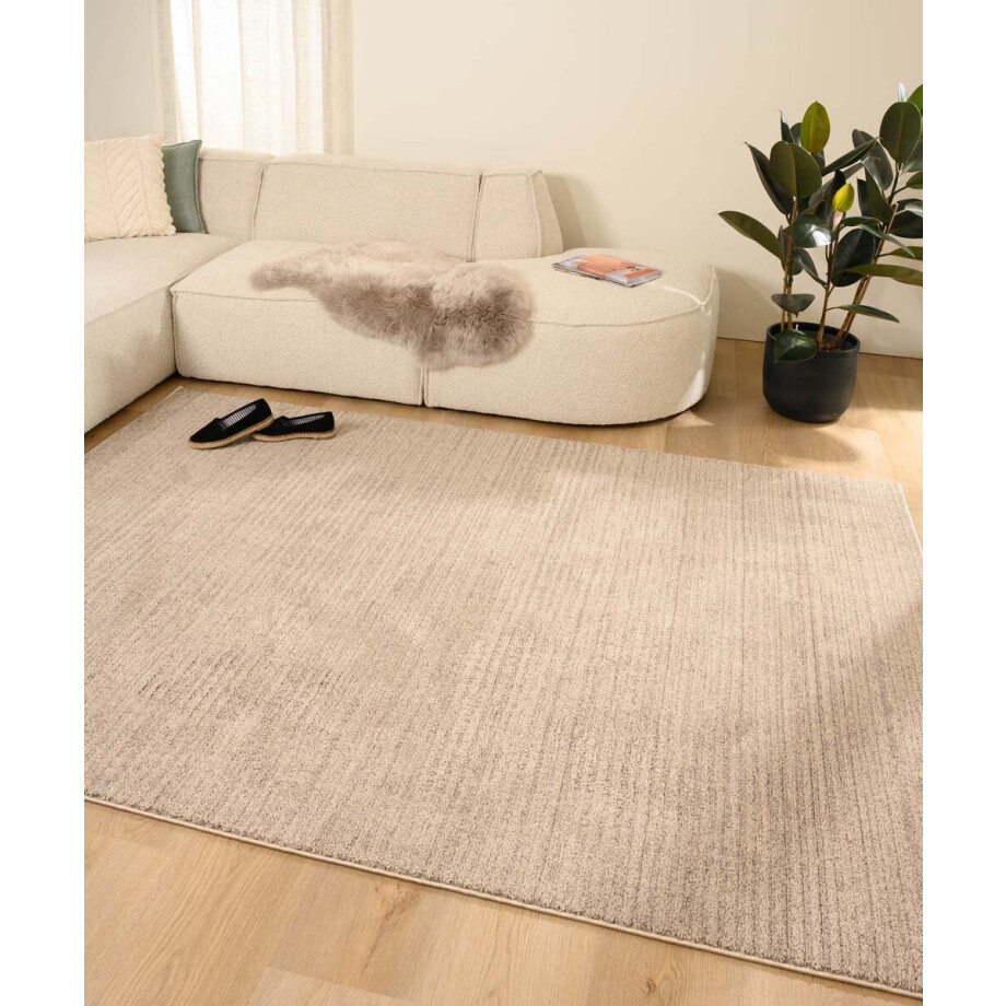 Vloerkleed strepen - Fancy Lines zandkleur 80x150 cm afbeelding 1