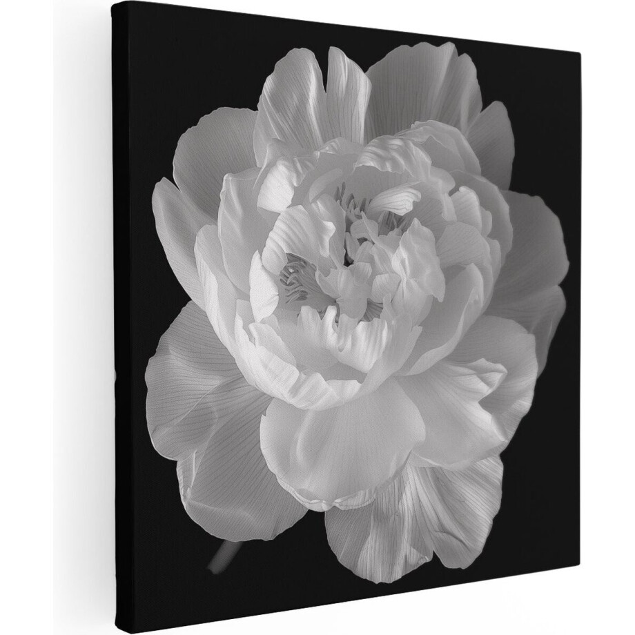 Artaza Canvas Schilderij Witte Pioenroos op een Zwarte Achtergrond - Bloemen - 50x50 cm - Wanddecoratie Woonkamer - Schilderijen - Muurdecoratie afbeelding 1