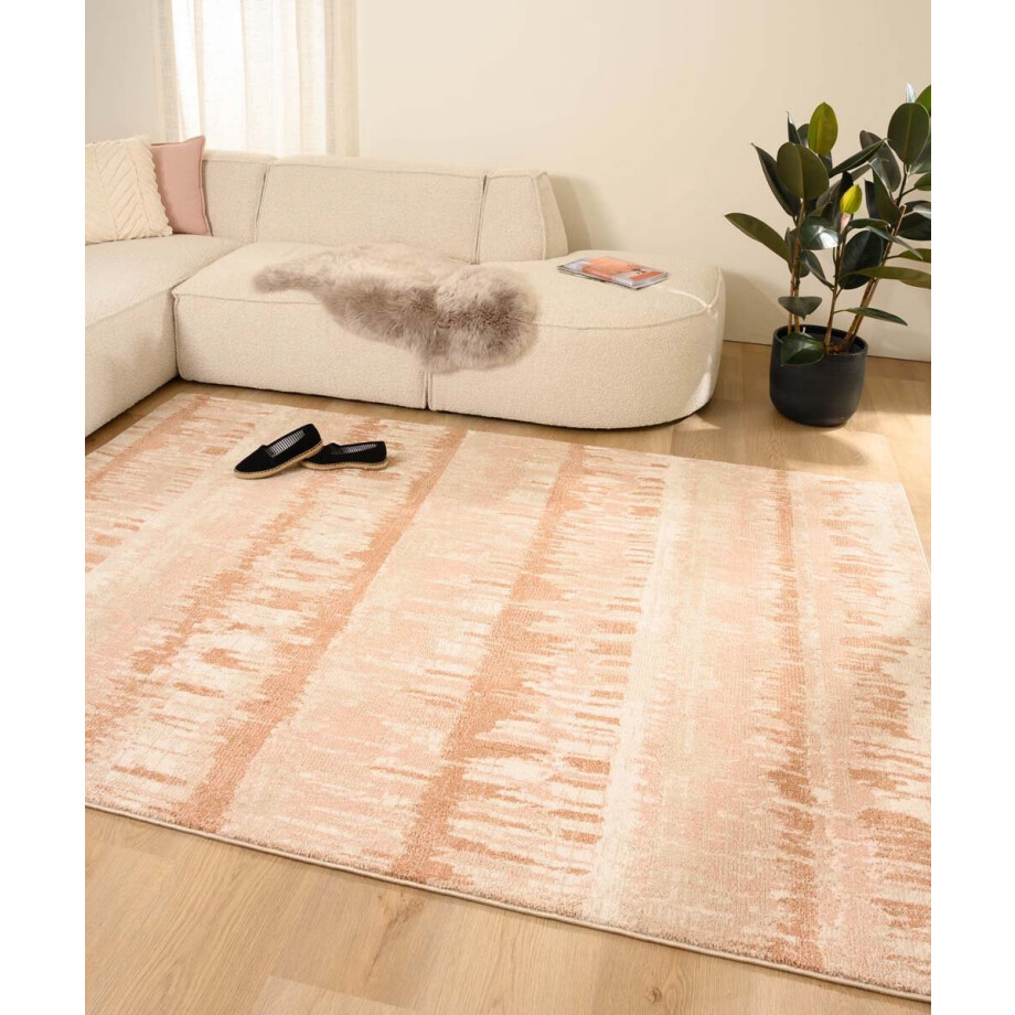 Modern vloerkleed - Fancy Radiance roze 120x170 cm Modern vloerkleed - Fancy Radiance roze 120x170 cm afbeelding 1