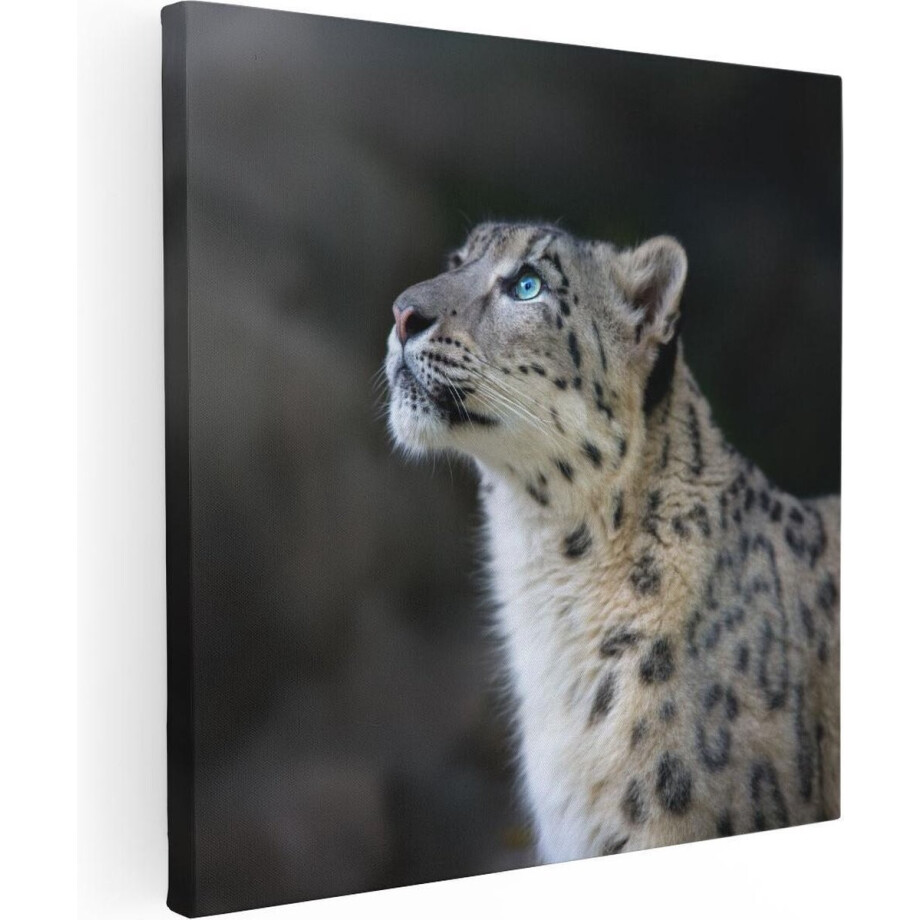 Artaza Canvas Schilderij Luipaard Met Blauwe Ogen - 60x60 cm - Wanddecoratie Woonkamer - Schilderijen - Muurdecoratie afbeelding 1