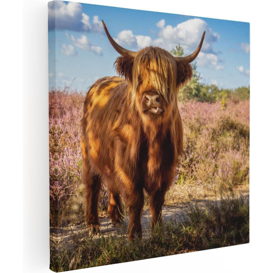 Artaza Canvas Schilderij Schotse Hooglander - 70x70 cm - Wanddecoratie Woonkamer - Muurdecoratie Natuur - Schilderijen Op Canvas afbeelding 1
