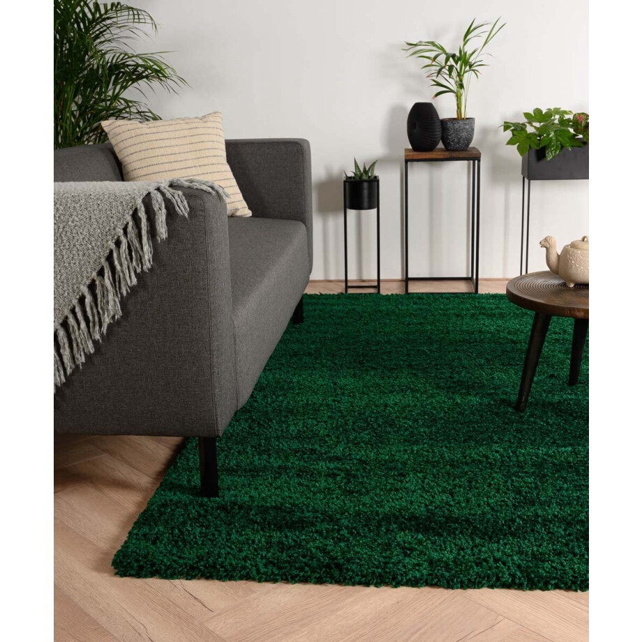 Hoogpolig vloerkleed - Shaggy Trend jade 140x200 afbeelding 1