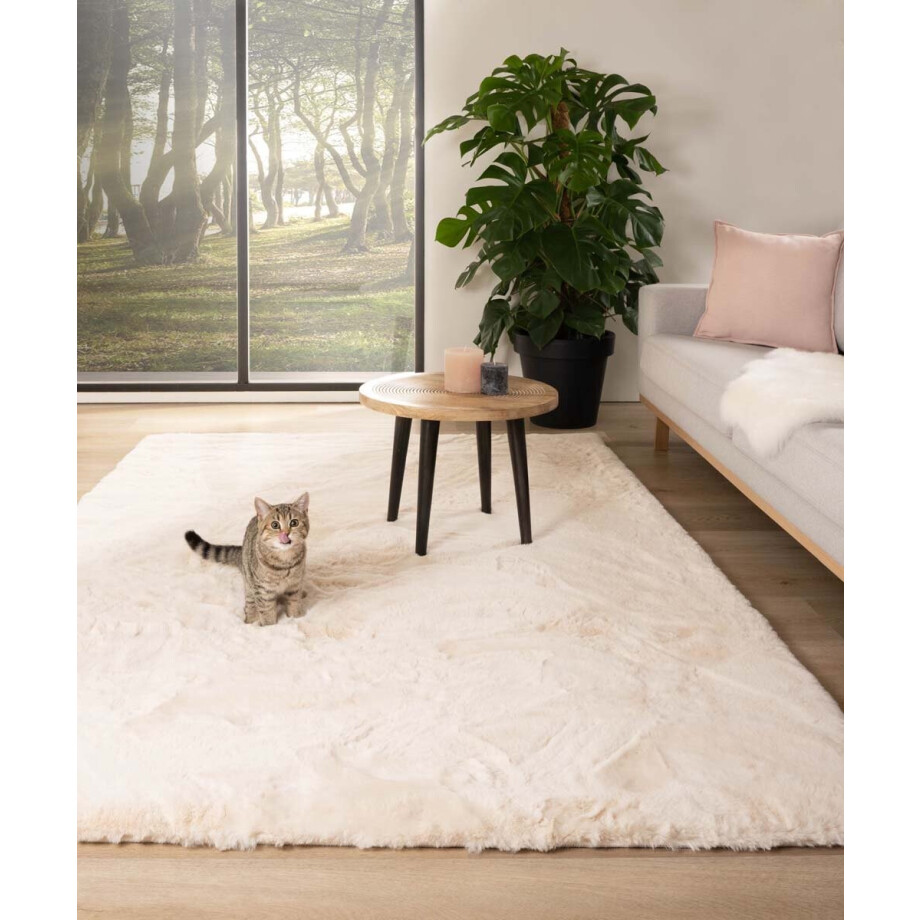 Zacht hoogpolig vloerkleed - Comfy plus - crème 160x230 cm Zacht hoogpolig vloerkleed - Comfy plus - crème 160x230 cm afbeelding 1