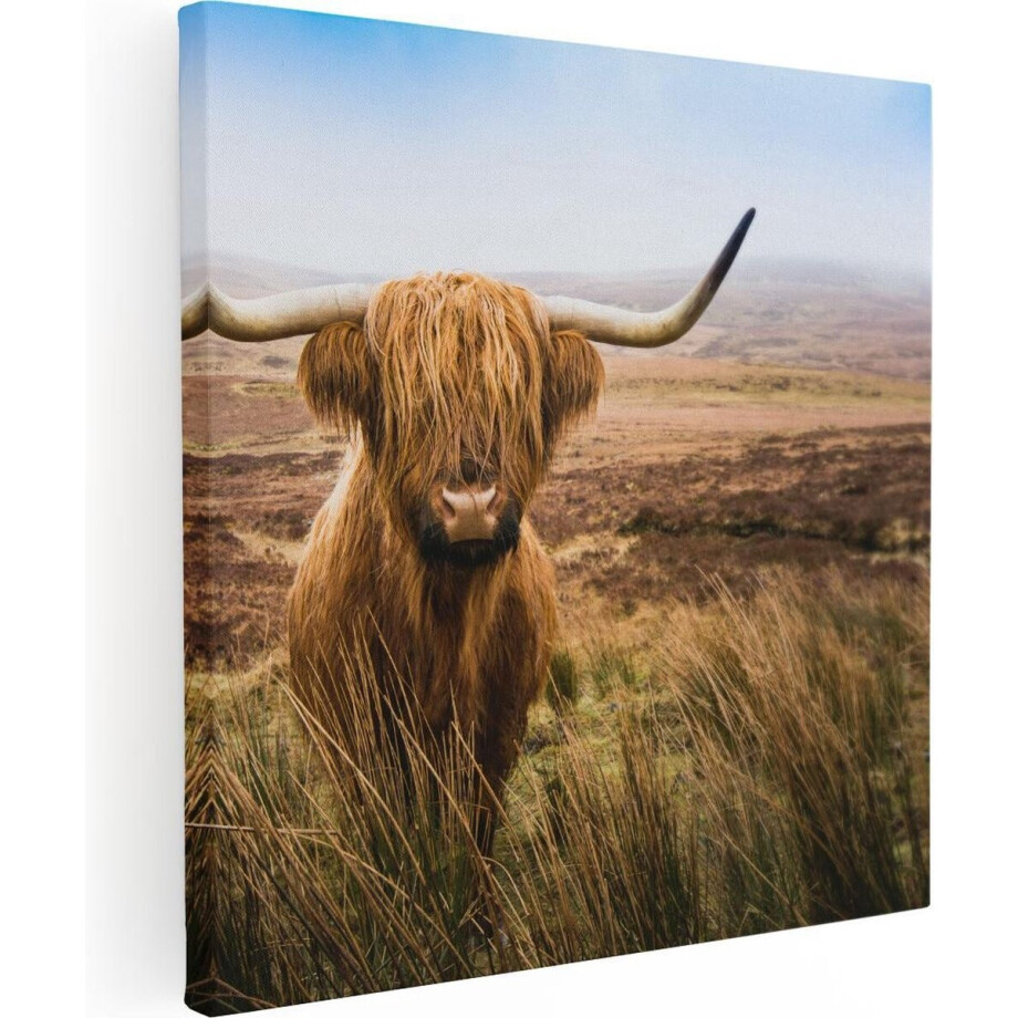 Artaza Canvas Schilderij Schotse Hooglander Koe In Het Veld - 30x30 - Klein - Foto Op Canvas - Canvas Print Artaza Canvas Schilderij Schotse Hooglander Koe In Het Veld - 30x30 - Klein - Foto Op Canvas - Canvas Print afbeelding 1