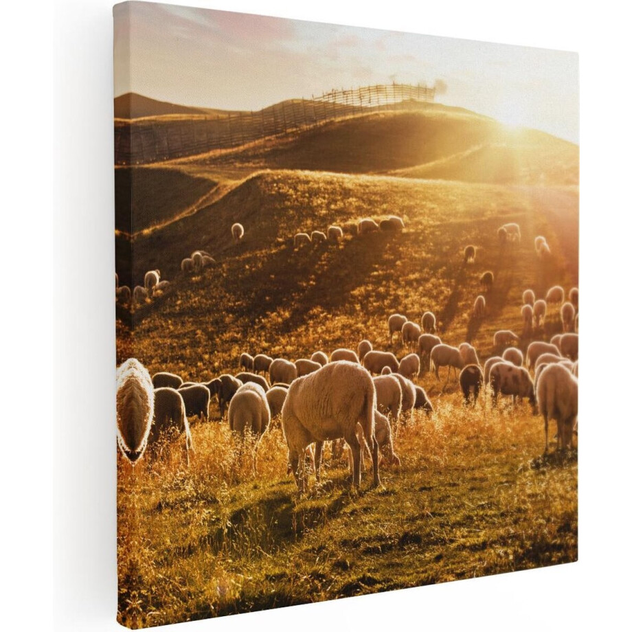 Artaza Canvas Schilderij Kudde Schapen - 40x40 cm - Klein - Wanddecoratie Dieren - Muurdecoratie Zonsondergang - Schilderijen Op Canvas afbeelding 1