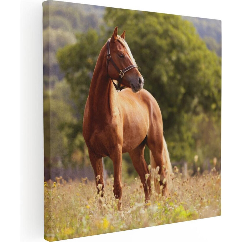 Artaza Canvas Schilderij Bruin Paard In De Wei - 80x80 cm - Groot - Wanddecoratie Woonkamer - Schilderijen - Muurdecoratie afbeelding 1