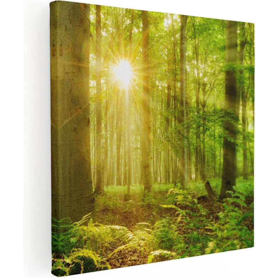 Artaza Canvas Schilderij Groen Bos Met Schijnende Zonnestralen - 40x40 - Klein - Foto Op Canvas - Canvas Print afbeelding 1
