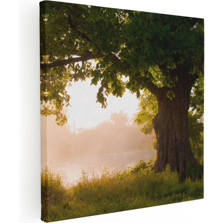 Artaza Canvas Schilderij Boom - 60x60 cm - Wanddecoratie Natuur - Muurdecoratie Landschap - Schilderij Bos Ochtendlicht afbeelding 1