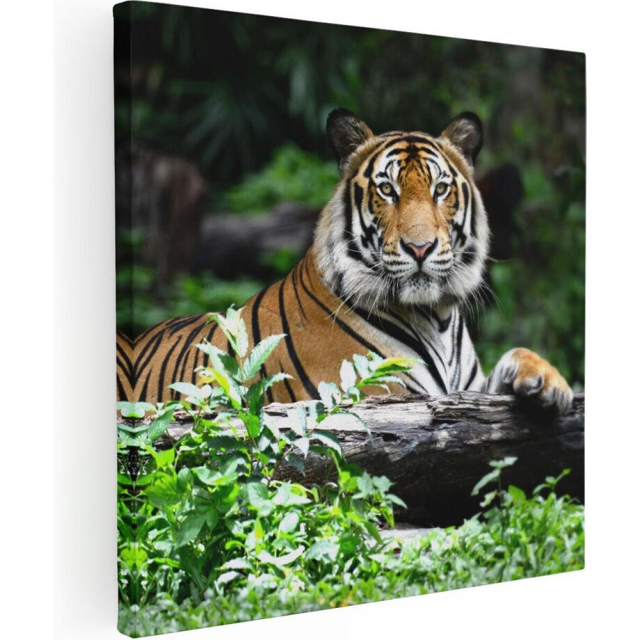 Artaza Canvas Schilderij Tijger In Het Bos - 90x90 - Groot - Foto Op Canvas - Canvas Print Artaza Canvas Schilderij Tijger In Het Bos - 90x90 - Groot - Foto Op Canvas - Canvas Print afbeelding 1