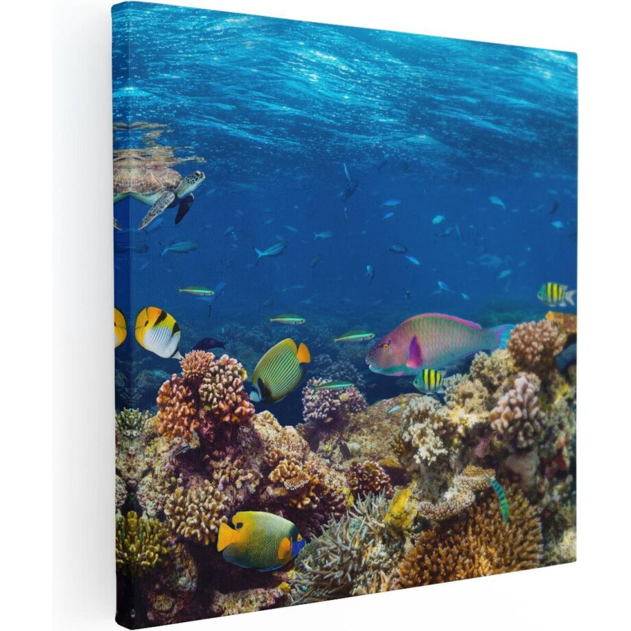 Artaza Canvas Schilderij Vissen met Koraalrif in de Oceaan - 40x40 - Klein - Foto Op Canvas - Canvas Print Artaza Canvas Schilderij Vissen met Koraalrif in de Oceaan - 40x40 - Klein - Foto Op Canvas - Canvas Print afbeelding 1