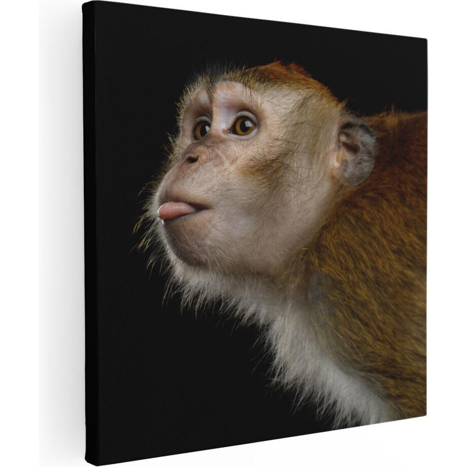 Artaza Canvas Schilderij Apenkop Met Zijn Tong Uit - Aap - 60x60 - Foto Op Canvas - Canvas Print Artaza Canvas Schilderij Apenkop Met Zijn Tong Uit - Aap - 60x60 - Foto Op Canvas - Canvas Print afbeelding 1