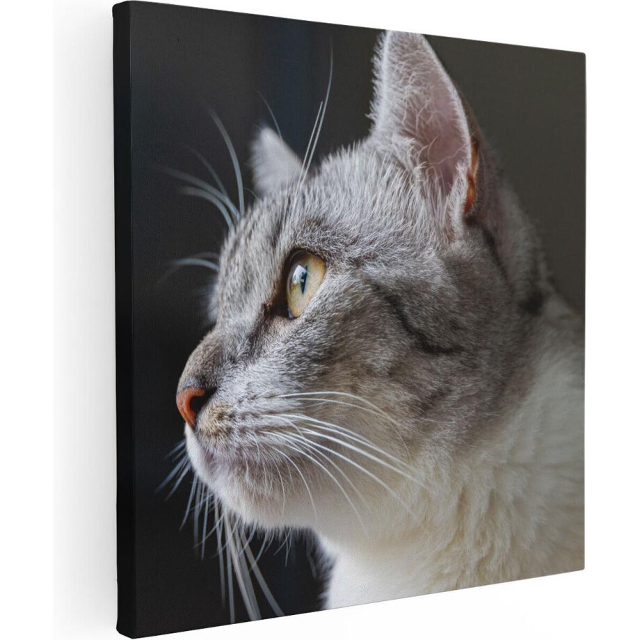 Artaza Canvas Schilderij Kat Met Gele Ogen Van Dichtbij - 70x70 - Foto Op Canvas - Canvas Print Artaza Canvas Schilderij Kat Met Gele Ogen Van Dichtbij - 70x70 - Foto Op Canvas - Canvas Print afbeelding 1