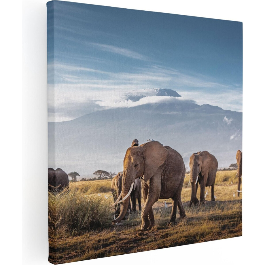 Artaza Canvas Schilderij Olifant - 50x50 cm - Wanddecoratie Afrika - Muurdecoratie Dieren - Schilderijen Op Canvas Kilimanjaro afbeelding 1