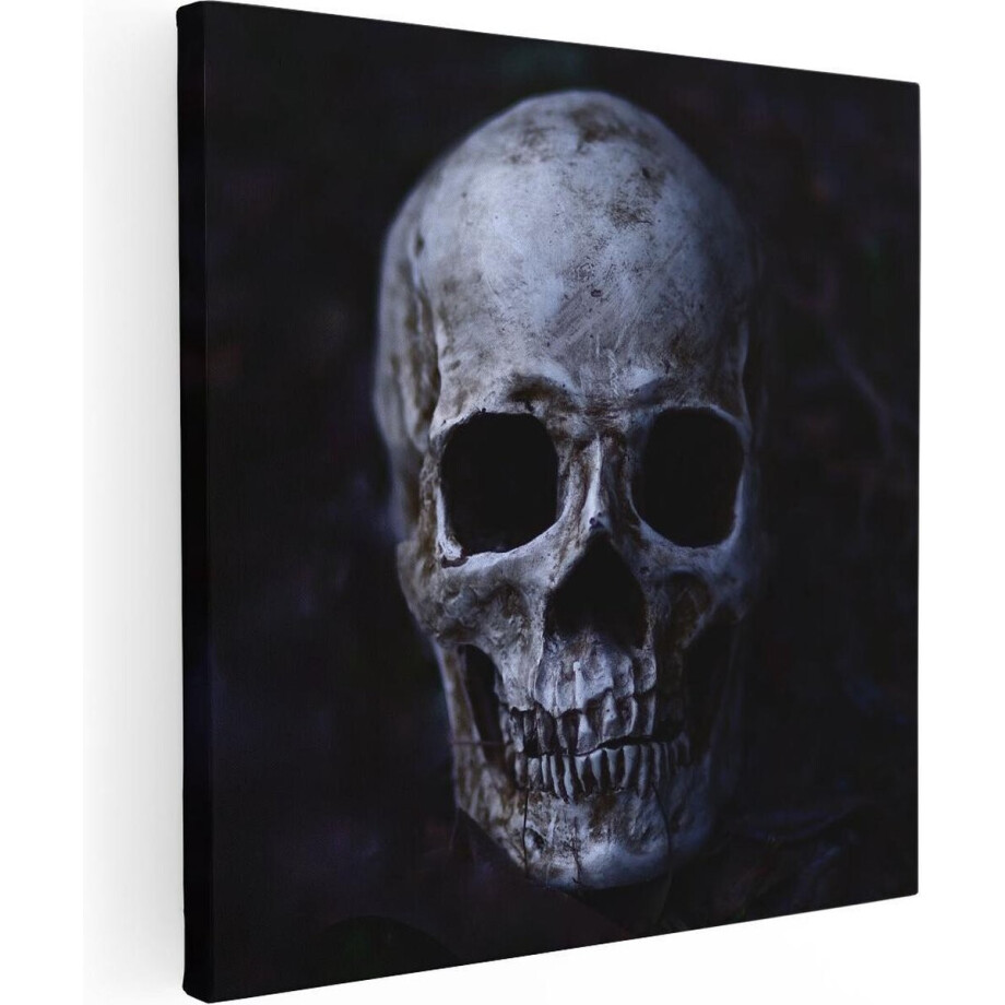 Artaza Canvas Schilderij Schedel - Doodshoofd - 30x30 - Klein - Foto Op Canvas - Canvas Print afbeelding 1