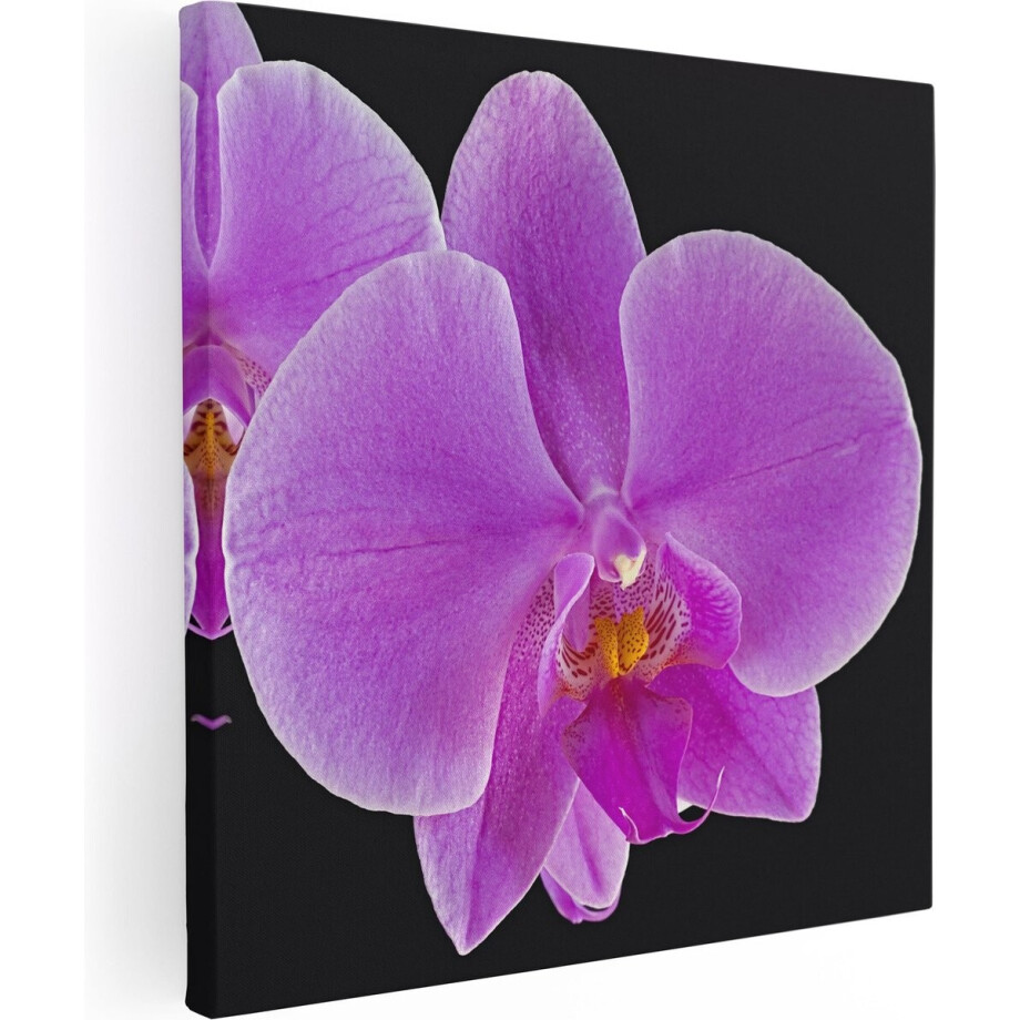 Artaza Canvas Schilderij Licht Paarse Orchidee - Bloem - 90x90 - Groot - Foto Op Canvas - Canvas Print Artaza Canvas Schilderij Licht Paarse Orchidee - Bloem - 90x90 - Groot - Foto Op Canvas - Canvas Print afbeelding 1