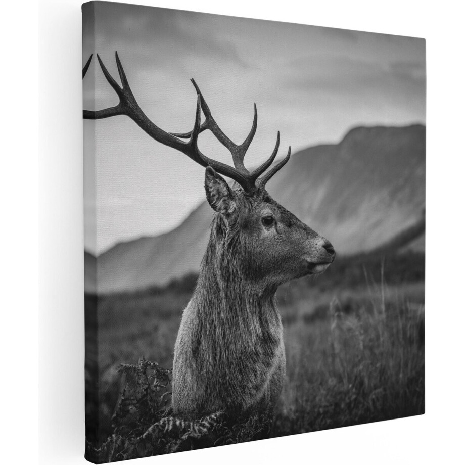 Artaza Canvas Schilderij Hertenkop - Hert - Zwart Wit - 60x60 - Foto Op Canvas - Canvas Print Artaza Canvas Schilderij Hertenkop - Hert - Zwart Wit - 60x60 - Foto Op Canvas - Canvas Print afbeelding 1