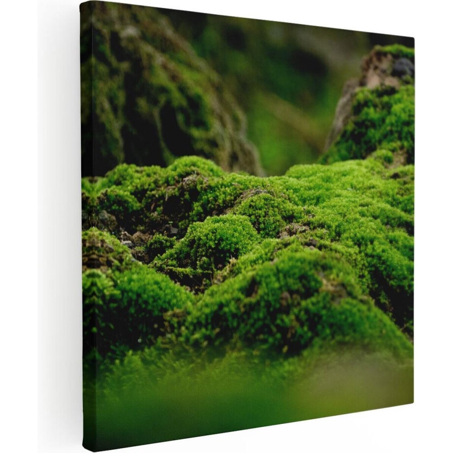 Artaza Canvas Schilderij Mos - 90x90 cm - Wanddecoratie Natuur - Muurdecoratie Bos - Schilderijen Op Canvas afbeelding 1
