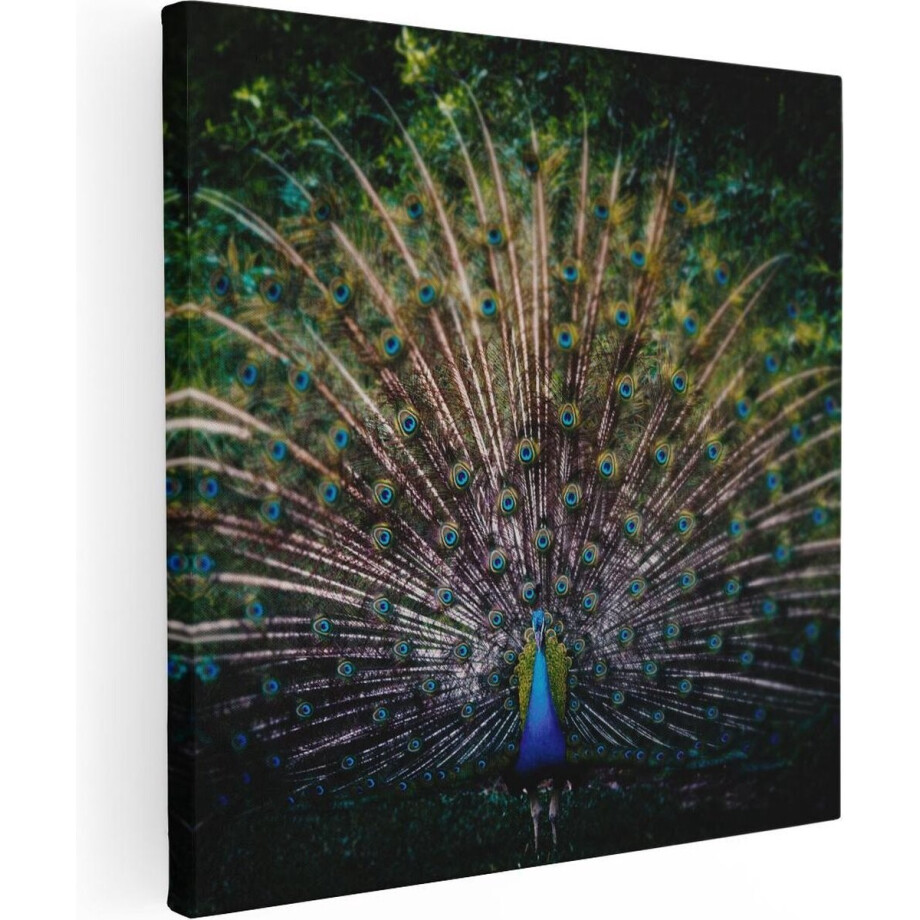 Artaza Canvas Schilderij Pauw - 90x90 cm - Wanddecoratie Vogels - Muurdecoratie Dieren - Schilderijen Op Canvas afbeelding 1