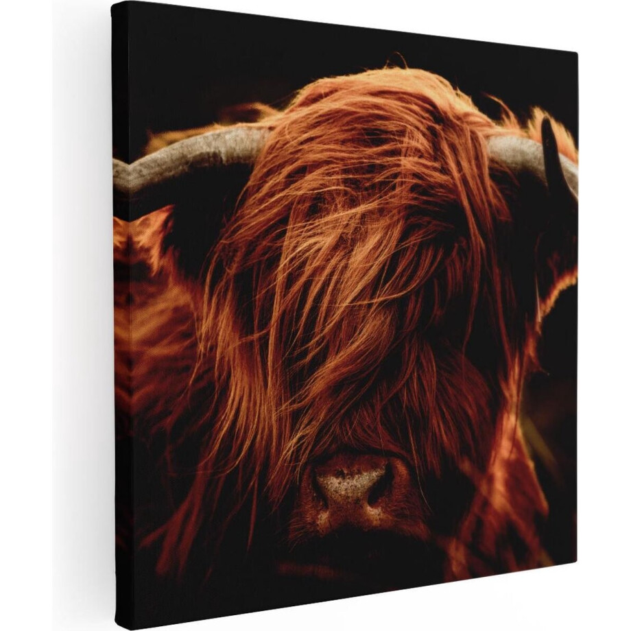 Artaza Canvas Schilderij Schotse Hooglander Koeienkop - Kleur - 30x30 - Klein - Foto Op Canvas - Canvas Print afbeelding 1