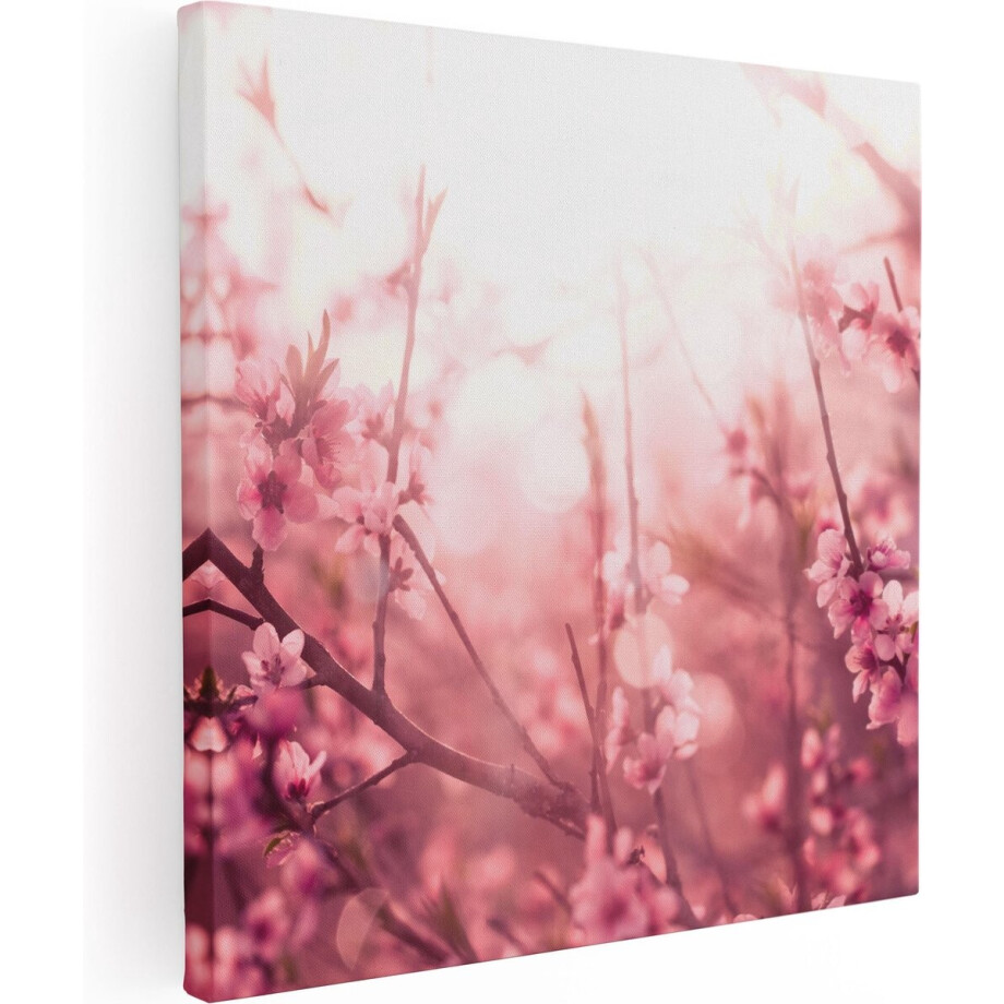 Artaza Canvas Schilderij Roze Bloesemboom Met Zonneschijn - 80x80 - Groot - Foto Op Canvas - Canvas Print afbeelding 1