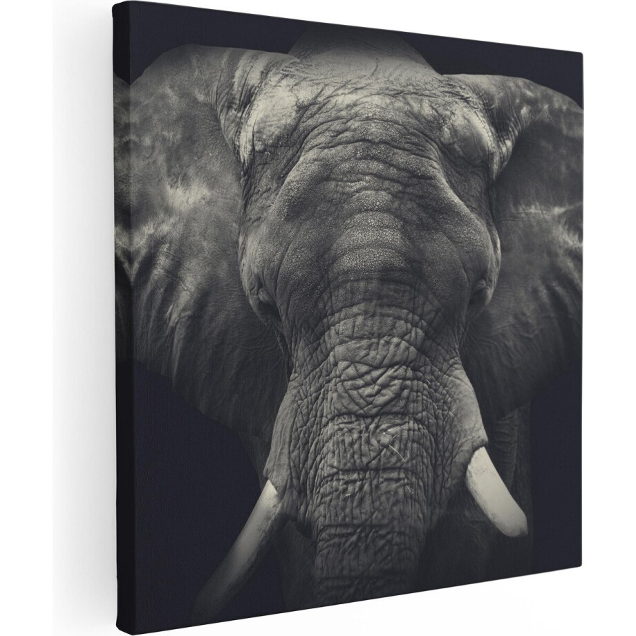 Artaza Canvas Schilderij Olifantenkop - Olifant - Zwart Wit - 30x30 - Klein - Foto Op Canvas - Canvas Print afbeelding 1