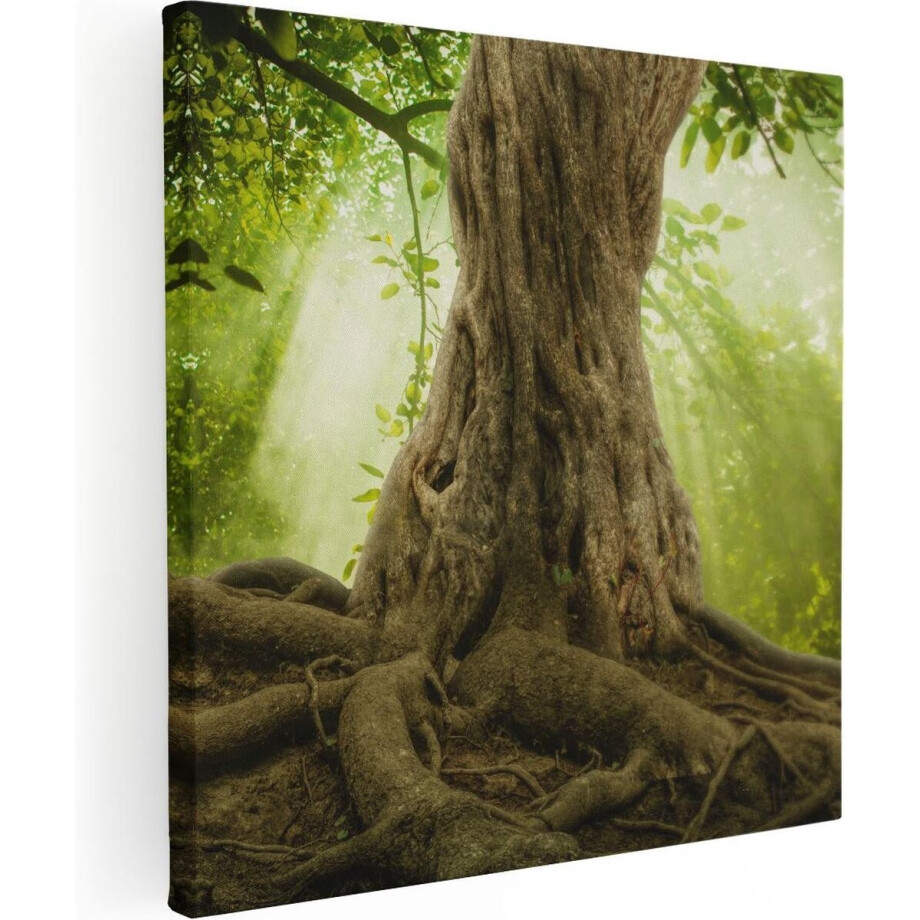 Artaza Canvas Schilderij Grote Boom In Het Bos Met Wortels - 70x70 - Foto Op Canvas - Canvas Print afbeelding 1