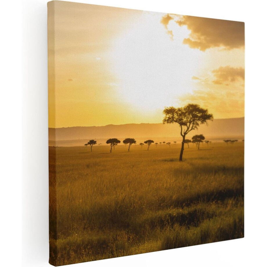 Artaza Canvas Schilderij Zonsondergang In De Savanne - 60x60 - Foto Op Canvas - Canvas Print Artaza Canvas Schilderij Zonsondergang In De Savanne - 60x60 - Foto Op Canvas - Canvas Print afbeelding 1