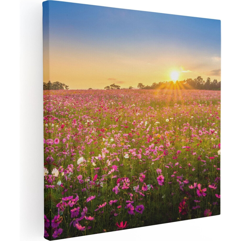 Artaza Canvas Schilderij Bloemenveld Met Roze Kosmos - 70x70 - Foto Op Canvas - Canvas Print Artaza Canvas Schilderij Bloemenveld Met Roze Kosmos - 70x70 - Foto Op Canvas - Canvas Print afbeelding 1