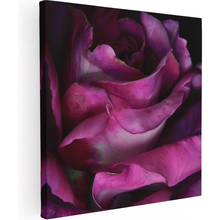 Artaza Canvas Schilderij Close Up van een Paarse Roos op een Zwarte Achtergrond - Bloemen - 70x70 cm - Wanddecoratie Woonkamer - Schilderijen - Muurdecoratie afbeelding 1