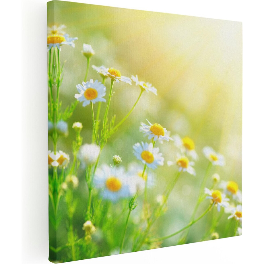 Artaza Canvas Schilderij Madeliefjes - 60x60 cm - Wanddecoratie Bloemen - Muurdecoratie Lente - Schilderijen Op Canvas Artaza Canvas Schilderij Madeliefjes - 60x60 cm - Wanddecoratie Bloemen - Muurdecoratie Lente - Schilderijen Op Canvas afbeelding 1
