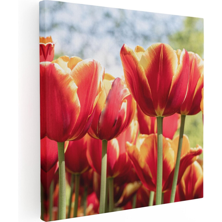 Artaza Canvas Schilderij Oranje Rode Tulpen  - 40x40 - Klein - Foto Op Canvas - Canvas Print afbeelding 1