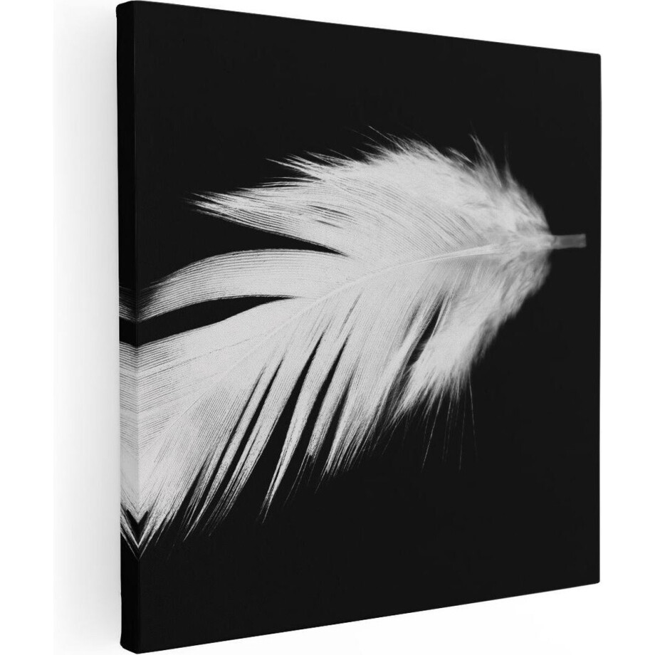 Artaza Canvas Schilderij Veer - 90x90 cm - Wanddecoratie Minimalistisch - Muurdecoratie Zwart Wit - Decoratie Close-Up afbeelding 1