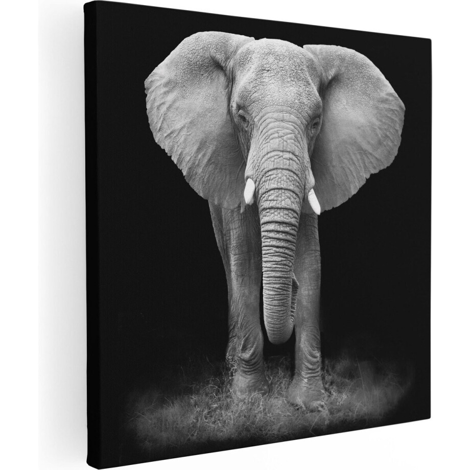 Artaza Canvas Schilderij Olifant - 50x50 cm - Wanddecoratie Dieren - Muurdecoratie Afrika - Schilderijen Op Canvas Zwart Wit afbeelding 1