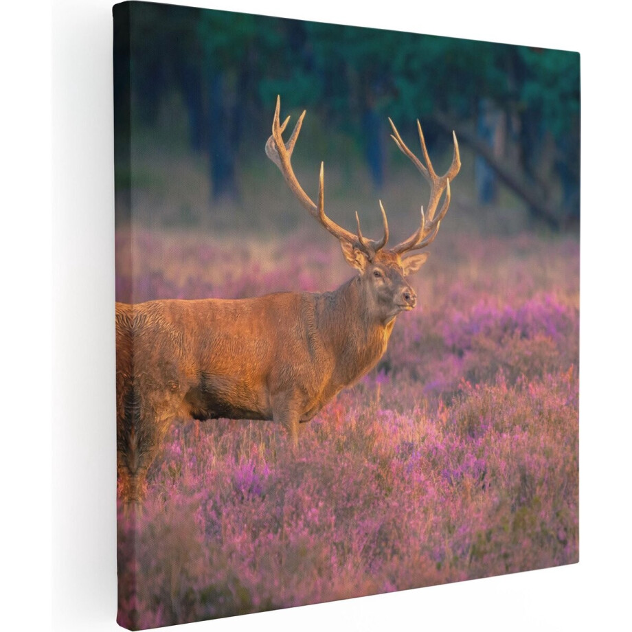 Artaza Canvas Schilderij Edelhert - 30x30 cm - Klein - Muurdecoratie Heide - Wanddecoratie Gewei - Kamer Accessoires Artaza Canvas Schilderij Edelhert - 30x30 cm - Klein - Muurdecoratie Heide - Wanddecoratie Gewei - Kamer Accessoires afbeelding 1