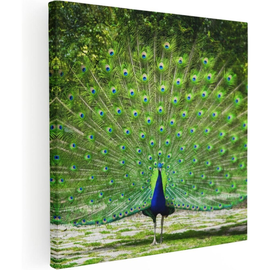 Artaza Canvas Schilderij Pauw Met Grote Kleurrijke Veren - 70x70 - Foto Op Canvas - Canvas Print Artaza Canvas Schilderij Pauw Met Grote Kleurrijke Veren - 70x70 - Foto Op Canvas - Canvas Print afbeelding 1