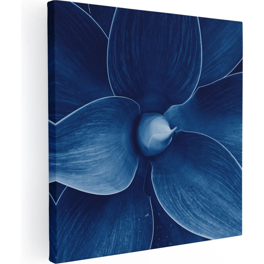 Artaza Canvas Schilderij Blauwe Agave Plant - Bloem - 50x50 - Foto Op Canvas - Canvas Print Artaza Canvas Schilderij Blauwe Agave Plant - Bloem - 50x50 - Foto Op Canvas - Canvas Print afbeelding 1